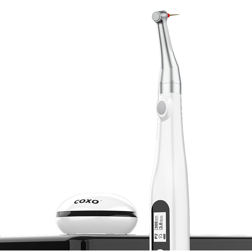 COXO®C-smart miniLED ポータブル式根管治療エンド(コードレス)