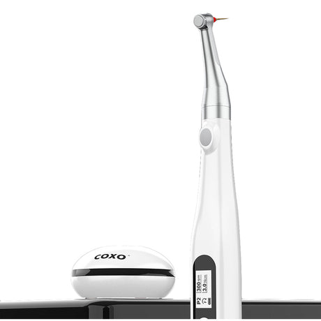 COXO®C-smart miniLED ポータブル式根管治療エンド（コードレス）